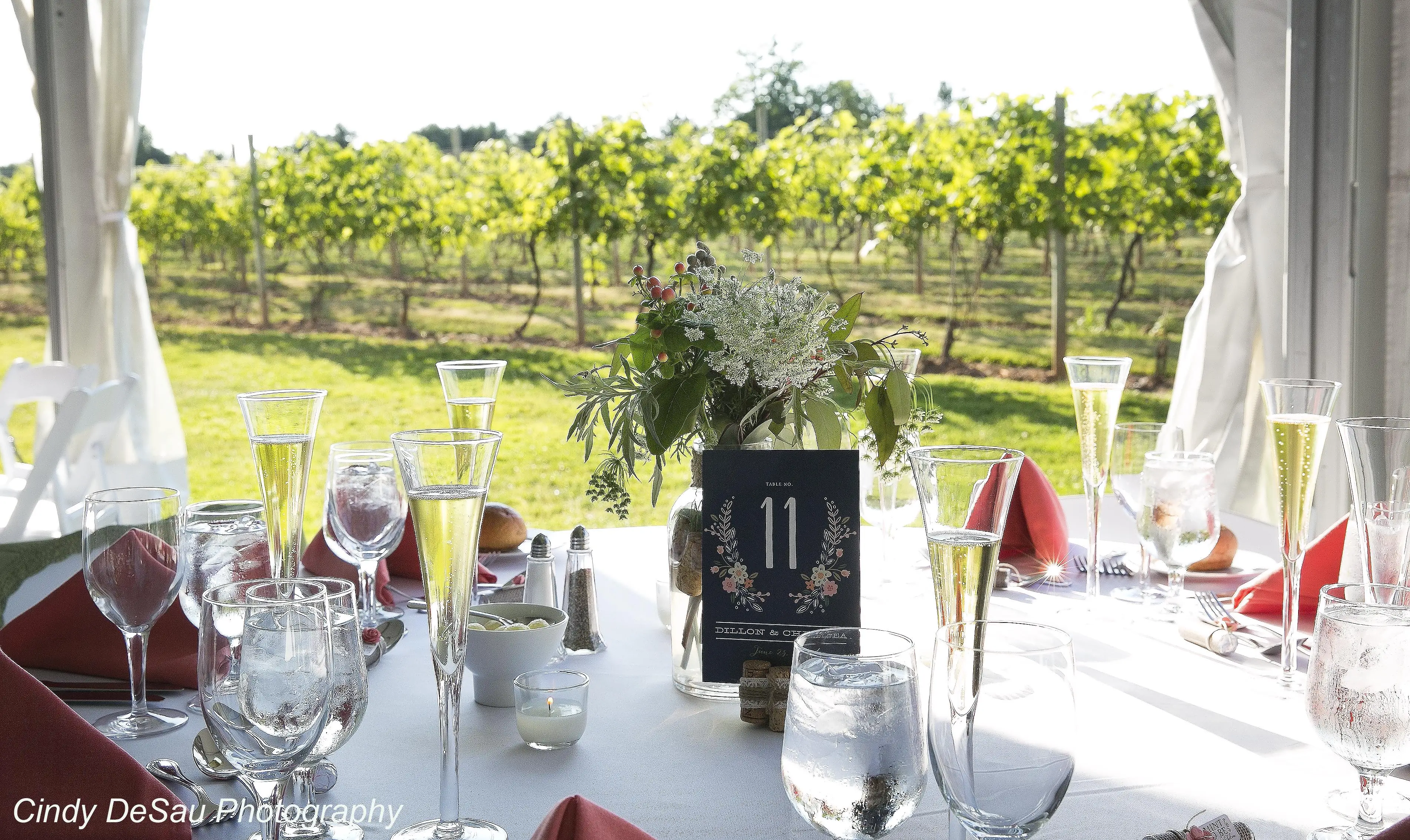 Doylestown celebration with uplighting and photo booth — Accent Event Group